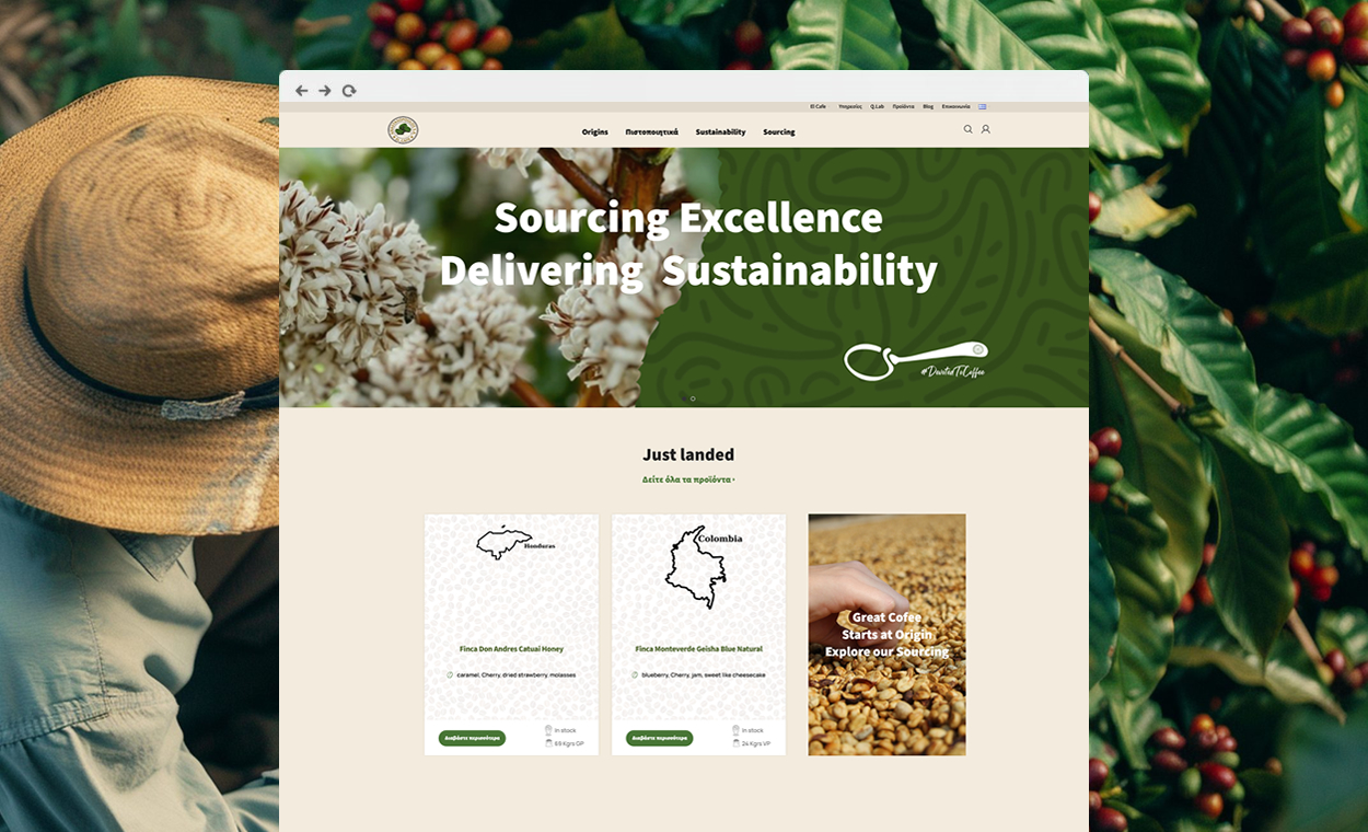 Website development elcafe